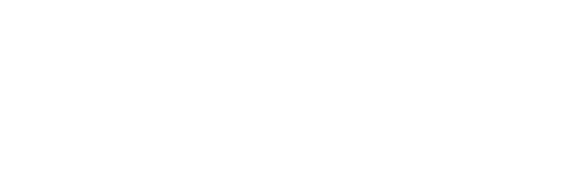 SEDURA Consulting